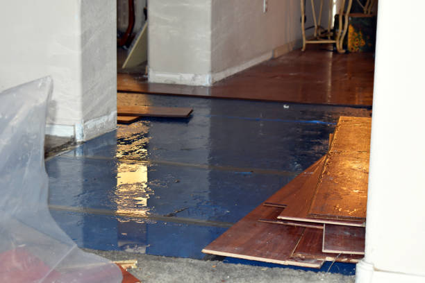 Professional Water Damage technician working in Maple, WI